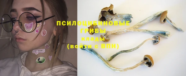 apvp Алзамай
