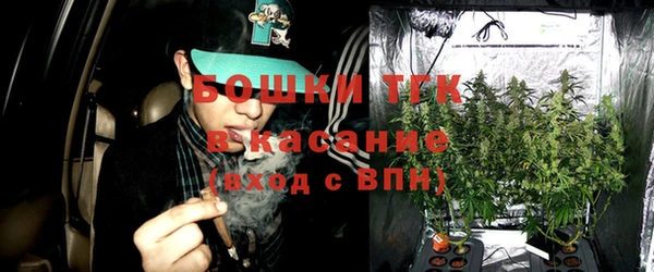 тгк Алексин